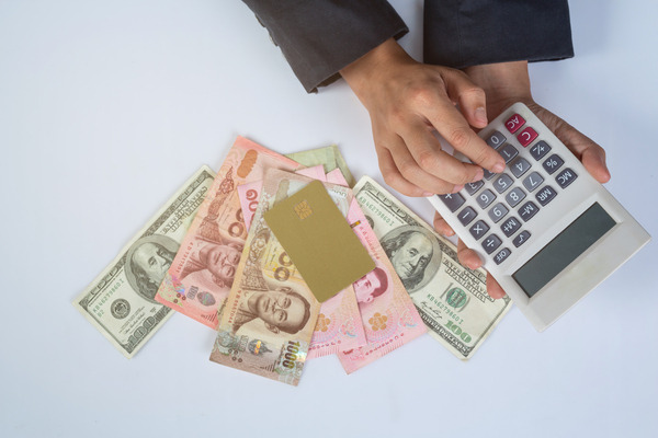 Person calculating currency rates for international money transfer