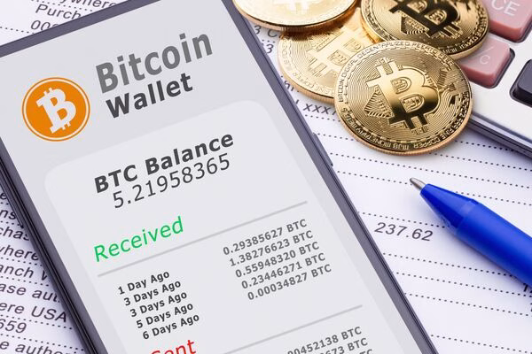 El usuario rastrea el saldo de Bitcoin antes de visitar un cajero automático de Bitcoin
