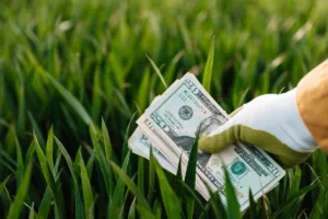 Transferencia de dinero en efectivo sostenida en una mano enguantada al aire libre