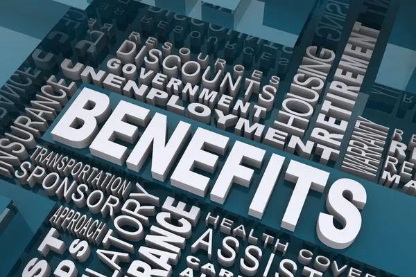 Programas de asistencia para beneficios gubernamentales y apoyo financiero