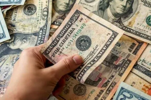 Hand Holding Cash During Currency Exchange Transaction Review